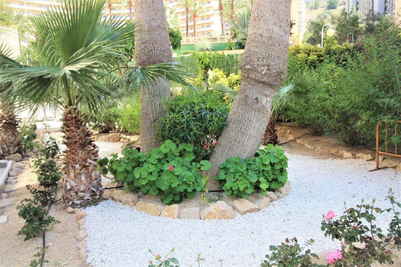 Apartment Atico Levante Torre Montecarlo Benidorm